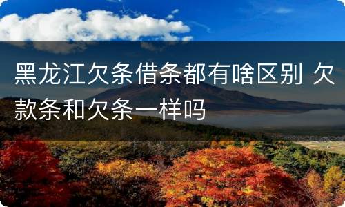 黑龙江欠条借条都有啥区别 欠款条和欠条一样吗
