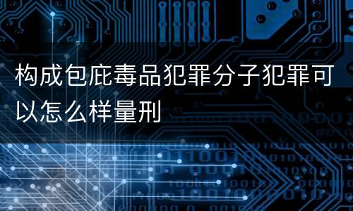 构成包庇毒品犯罪分子犯罪可以怎么样量刑