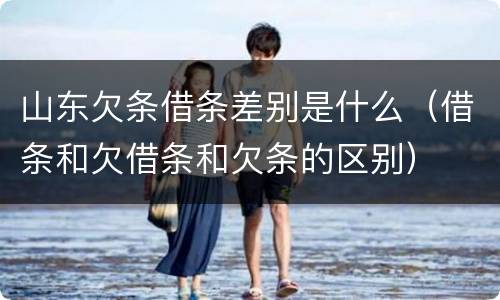 山东欠条借条差别是什么（借条和欠借条和欠条的区别）
