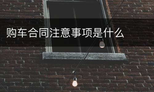 购车合同注意事项是什么