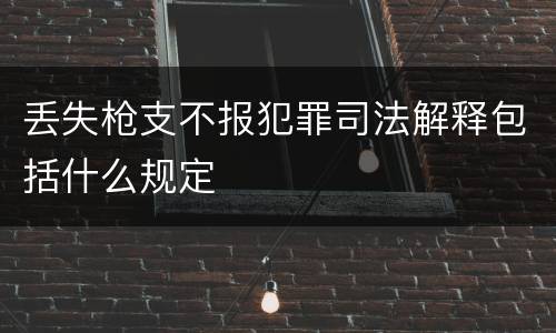 丢失枪支不报犯罪司法解释包括什么规定