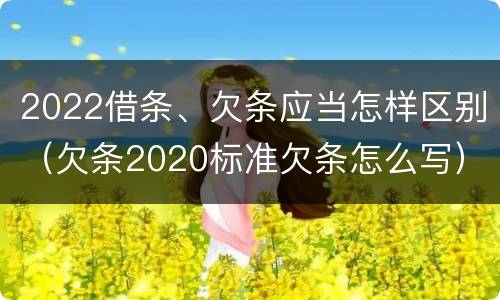 2022借条、欠条应当怎样区别（欠条2020标准欠条怎么写）