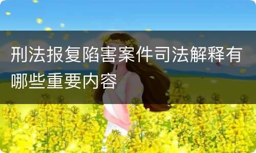 刑法报复陷害案件司法解释有哪些重要内容