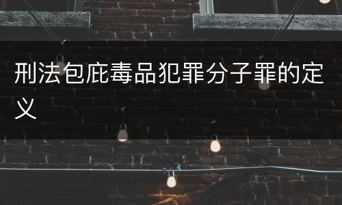 刑法包庇毒品犯罪分子罪的定义