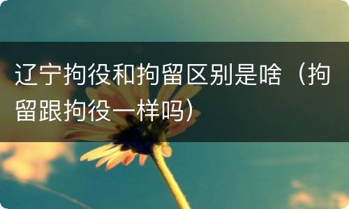 辽宁拘役和拘留区别是啥（拘留跟拘役一样吗）