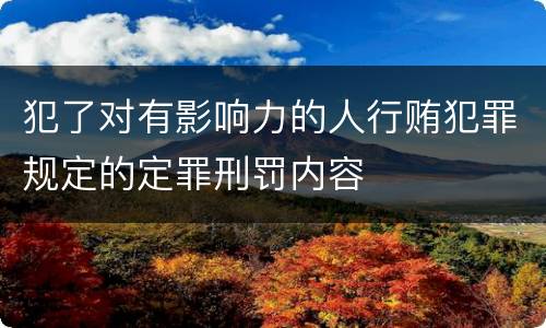 犯了对有影响力的人行贿犯罪规定的定罪刑罚内容