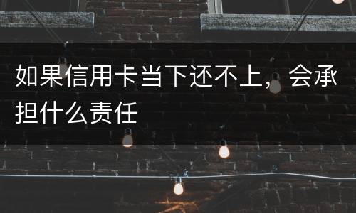 如果信用卡当下还不上，会承担什么责任