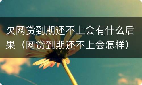 欠网贷到期还不上会有什么后果（网贷到期还不上会怎样）