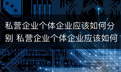 私营企业个体企业应该如何分别 私营企业个体企业应该如何分别纳税