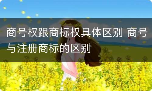 商号权跟商标权具体区别 商号与注册商标的区别