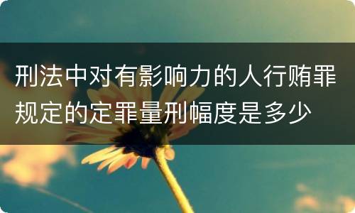刑法中对有影响力的人行贿罪规定的定罪量刑幅度是多少