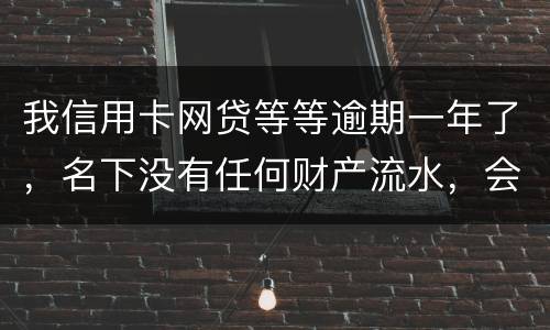 我信用卡网贷等等逾期一年了，名下没有任何财产流水，会不会被强制执行