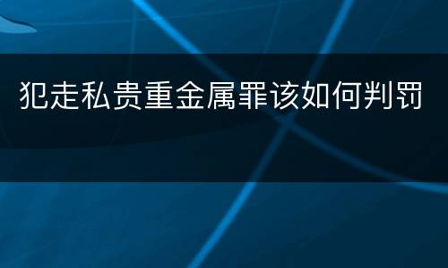 犯走私贵重金属罪该如何判罚