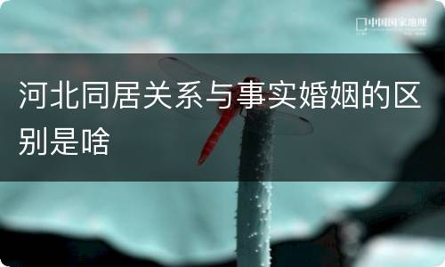 河北同居关系与事实婚姻的区别是啥