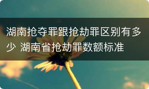 湖南抢夺罪跟抢劫罪区别有多少 湖南省抢劫罪数额标准