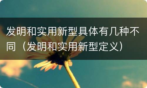 发明和实用新型具体有几种不同（发明和实用新型定义）