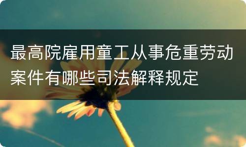 最高院雇用童工从事危重劳动案件有哪些司法解释规定
