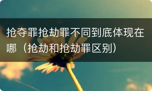 抢夺罪抢劫罪不同到底体现在哪（抢劫和抢劫罪区别）