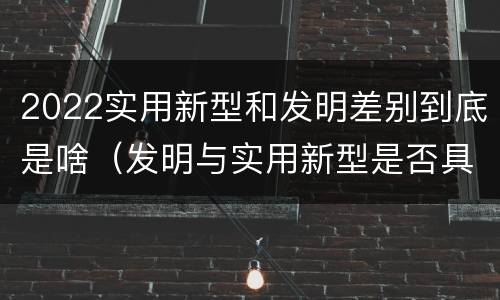 2022实用新型和发明差别到底是啥（发明与实用新型是否具有实用性）