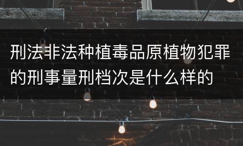 刑法非法种植毒品原植物犯罪的刑事量刑档次是什么样的