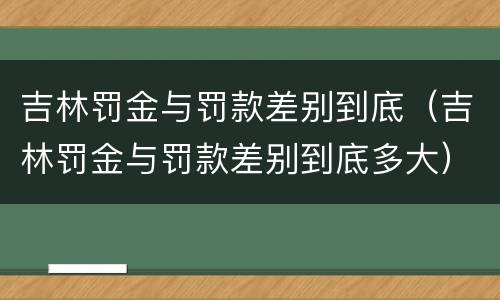 吉林罚金与罚款差别到底（吉林罚金与罚款差别到底多大）