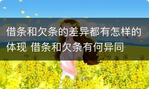 借条和欠条的差异都有怎样的体现 借条和欠条有何异同