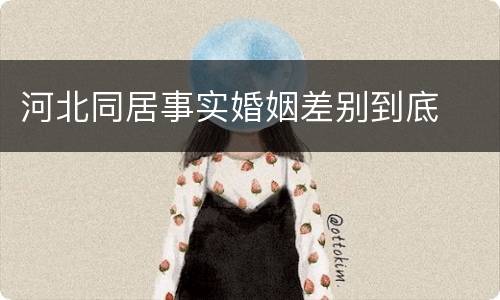 河北同居事实婚姻差别到底