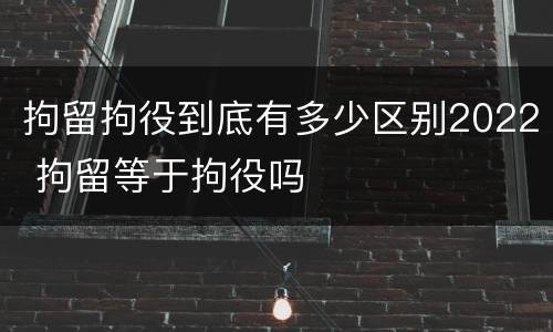 拘留拘役到底有多少区别2022 拘留等于拘役吗