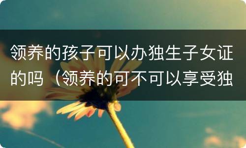 领养的孩子可以办独生子女证的吗（领养的可不可以享受独生子女待遇）