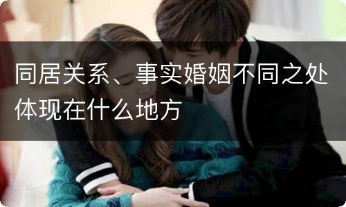 同居关系、事实婚姻不同之处体现在什么地方