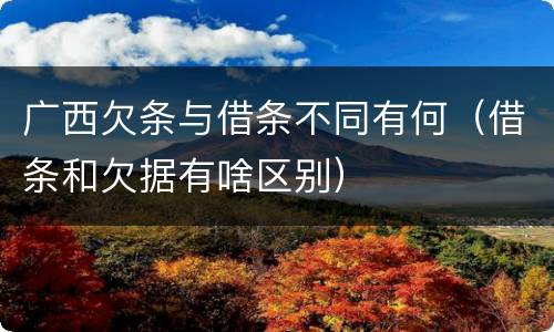 广西欠条与借条不同有何（借条和欠据有啥区别）