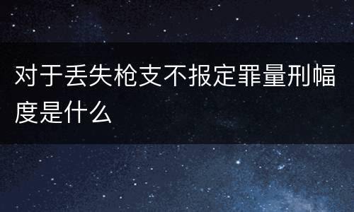 对于丢失枪支不报定罪量刑幅度是什么