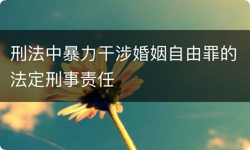 刑法中暴力干涉婚姻自由罪的法定刑事责任