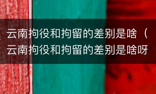云南拘役和拘留的差别是啥（云南拘役和拘留的差别是啥呀）