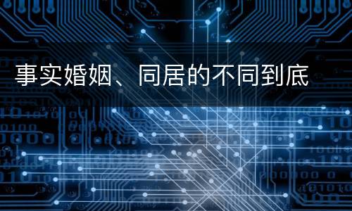 事实婚姻、同居的不同到底