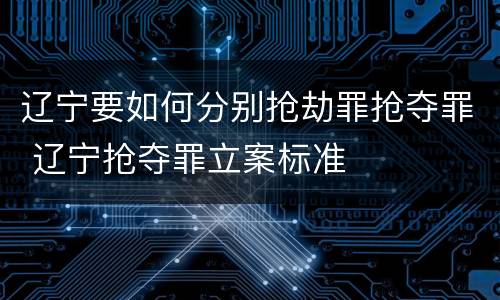 辽宁要如何分别抢劫罪抢夺罪 辽宁抢夺罪立案标准