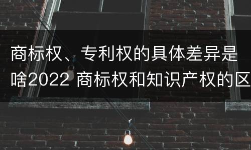 商标权、专利权的具体差异是啥2022 商标权和知识产权的区别