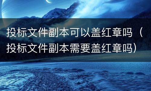 投标文件副本可以盖红章吗（投标文件副本需要盖红章吗）