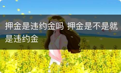 押金是违约金吗 押金是不是就是违约金