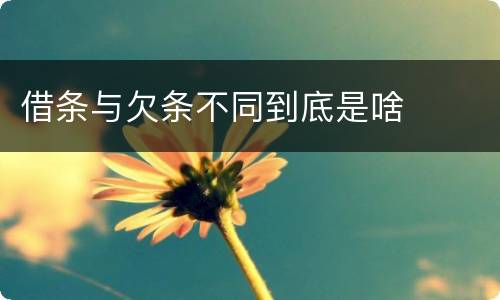 借条与欠条不同到底是啥