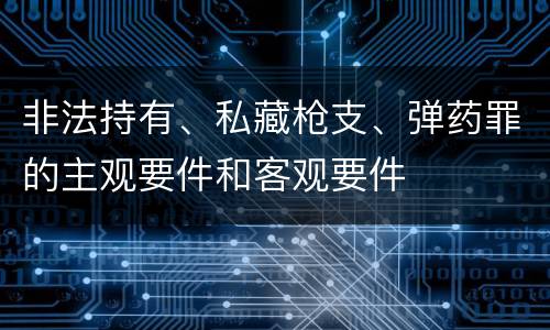 非法持有、私藏枪支、弹药罪的主观要件和客观要件