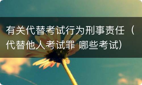 有关代替考试行为刑事责任（代替他人考试罪 哪些考试）
