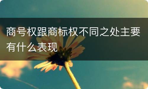 商号权跟商标权不同之处主要有什么表现