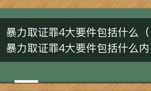 暴力取证罪4大要件包括什么（暴力取证罪4大要件包括什么内容）
