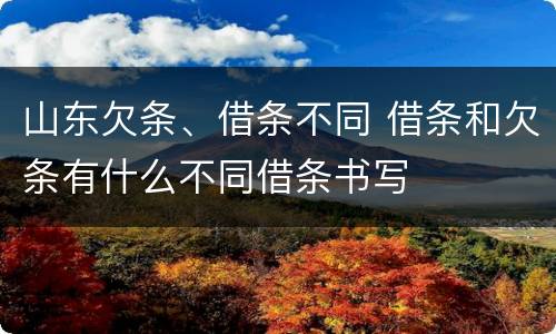 山东欠条、借条不同 借条和欠条有什么不同借条书写