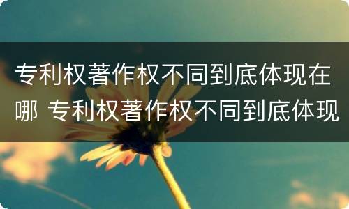 专利权著作权不同到底体现在哪 专利权著作权不同到底体现在哪里