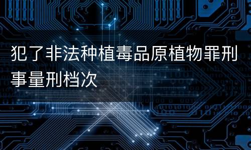 犯了非法种植毒品原植物罪刑事量刑档次