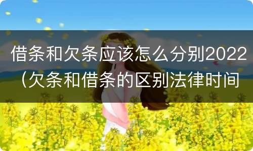 借条和欠条应该怎么分别2022（欠条和借条的区别法律时间多少年）