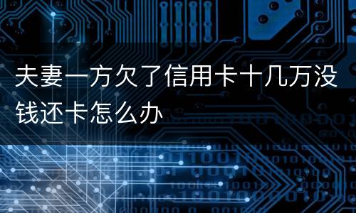 夫妻一方欠了信用卡十几万没钱还卡怎么办