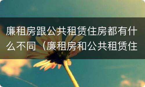 廉租房跟公共租赁住房都有什么不同（廉租房和公共租赁住房有什么区别）